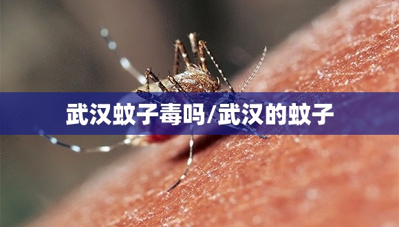 武汉蚊子毒吗/武汉的蚊子