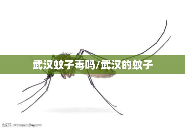 武汉蚊子毒吗/武汉的蚊子