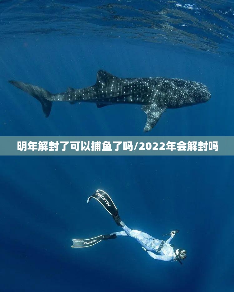 明年解封了可以捕鱼了吗/2022年会解封吗
