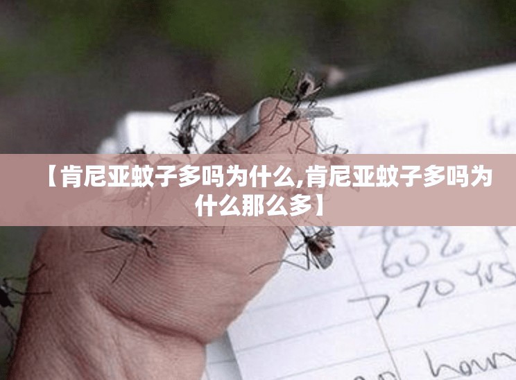 【肯尼亚蚊子多吗为什么,肯尼亚蚊子多吗为什么那么多】