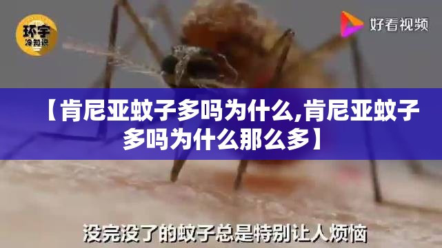 【肯尼亚蚊子多吗为什么,肯尼亚蚊子多吗为什么那么多】