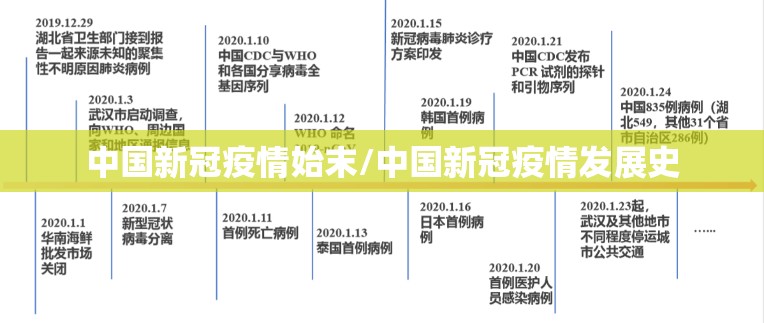 中国新冠疫情始末/中国新冠疫情发展史