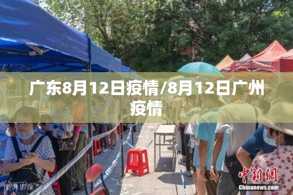 广东8月12日疫情/8月12日广州疫情