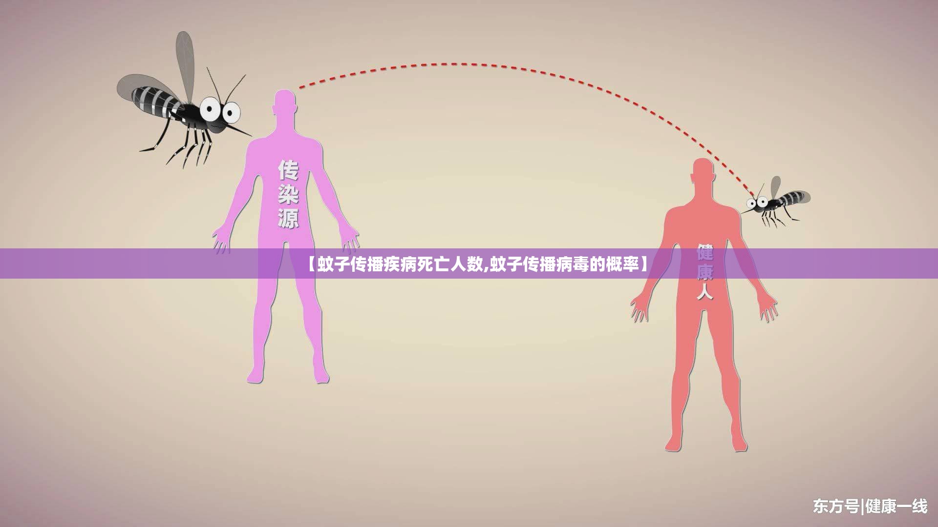 【蚊子传播疾病死亡人数,蚊子传播病毒的概率】