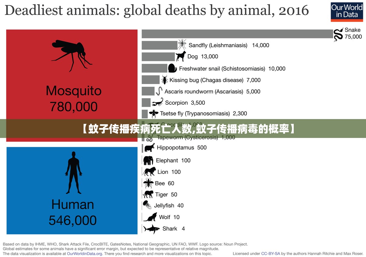 【蚊子传播疾病死亡人数,蚊子传播病毒的概率】