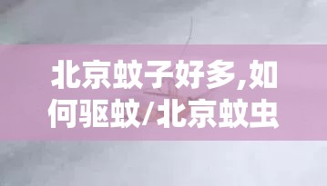 北京蚊子好多,如何驱蚊/北京蚊虫多吗