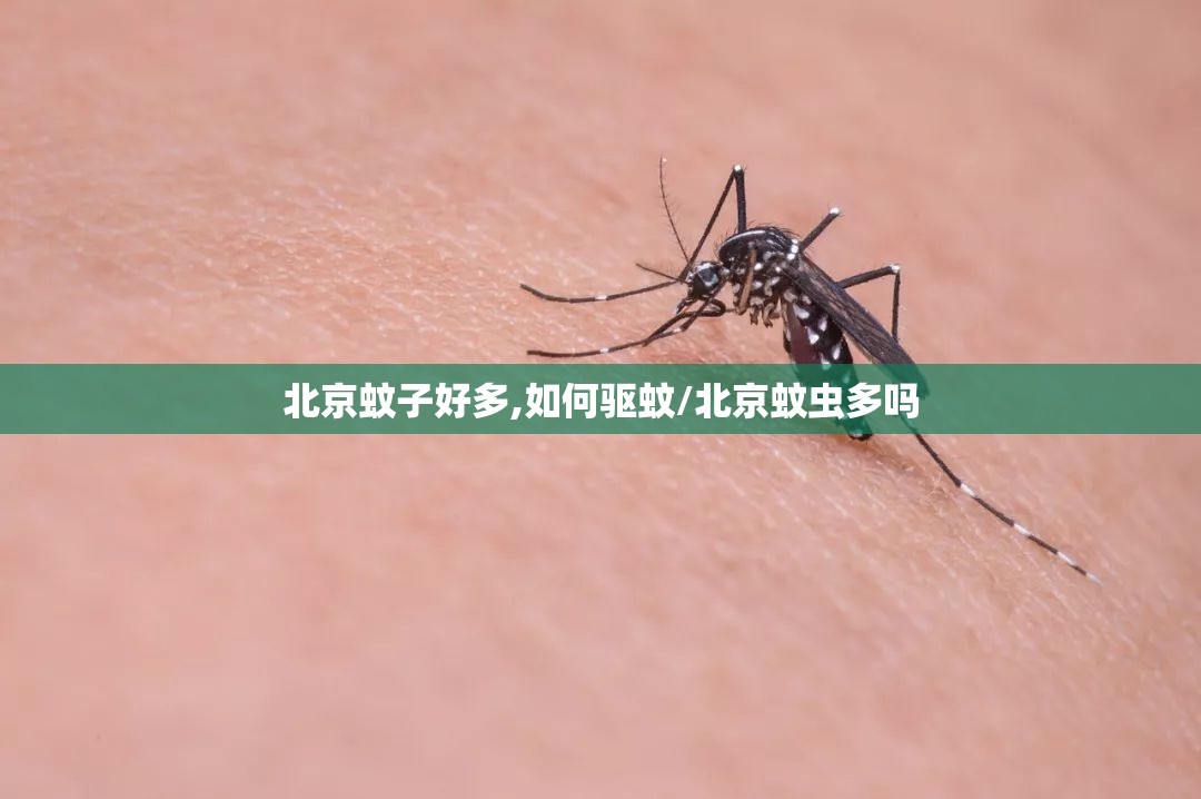 北京蚊子好多,如何驱蚊/北京蚊虫多吗
