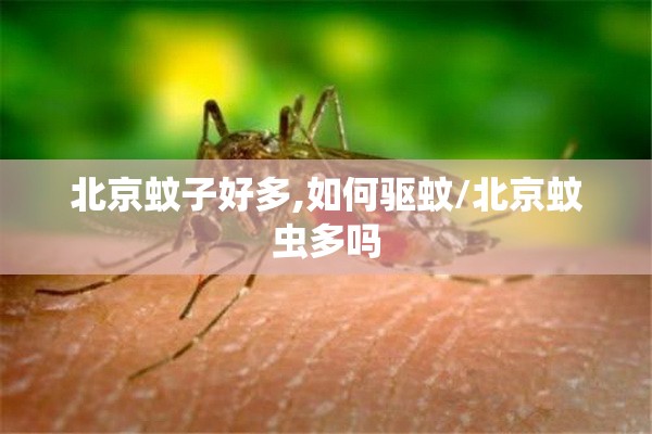 北京蚊子好多,如何驱蚊/北京蚊虫多吗