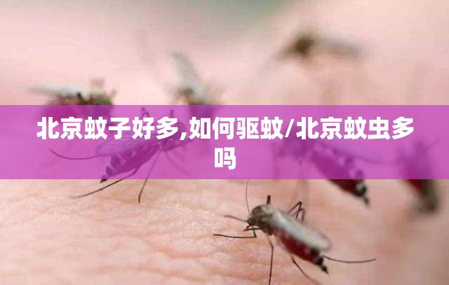 北京蚊子好多,如何驱蚊/北京蚊虫多吗