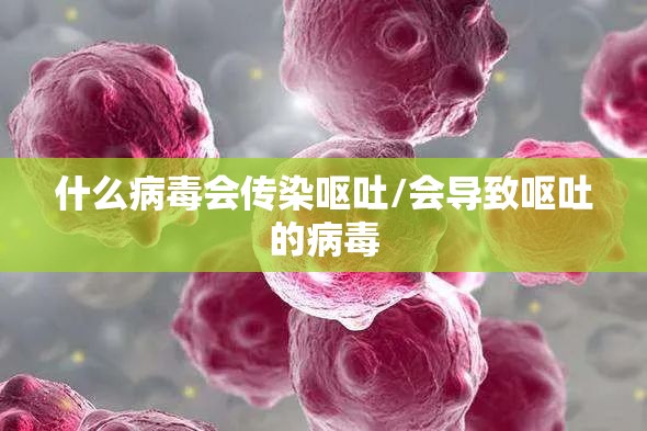 什么病毒会传染呕吐/会导致呕吐的病毒