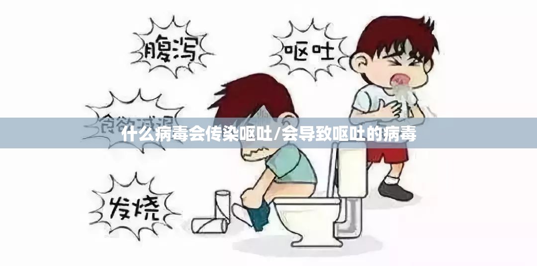 什么病毒会传染呕吐/会导致呕吐的病毒