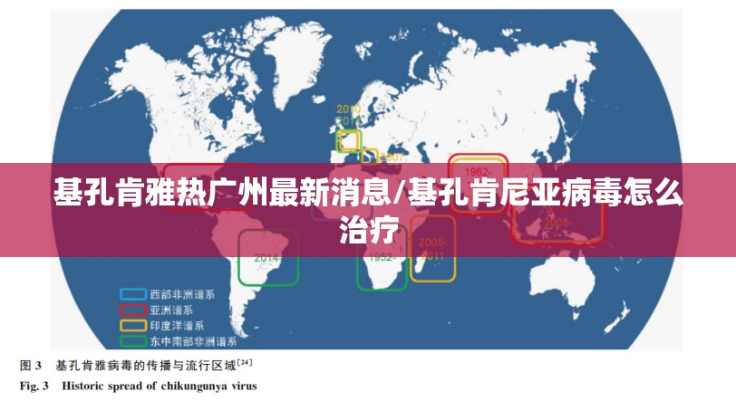 基孔肯雅热广州最新消息/基孔肯尼亚病毒怎么治疗