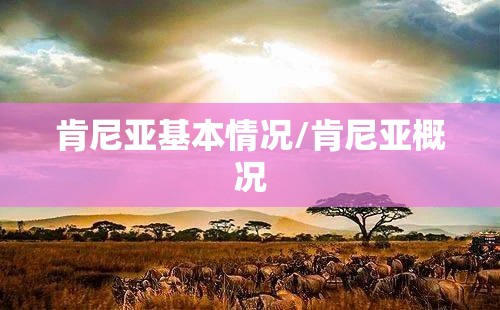 肯尼亚基本情况/肯尼亚概况
