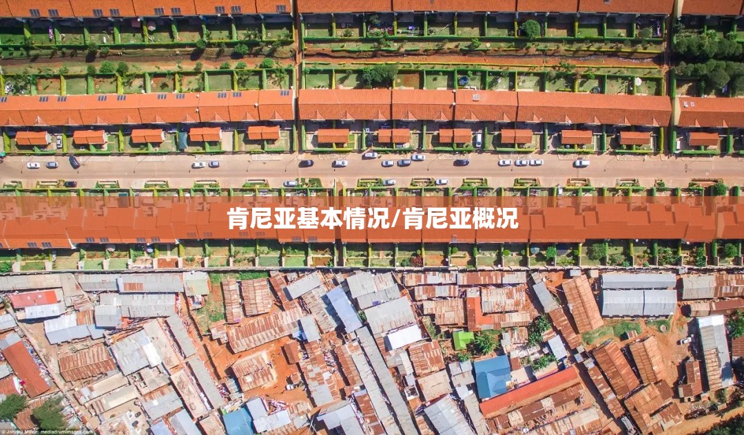 肯尼亚基本情况/肯尼亚概况