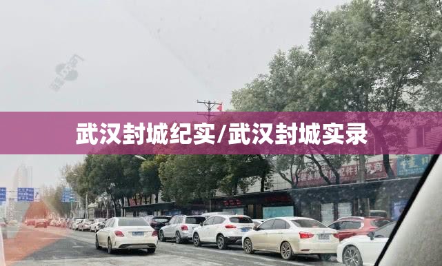 武汉封城纪实/武汉封城实录