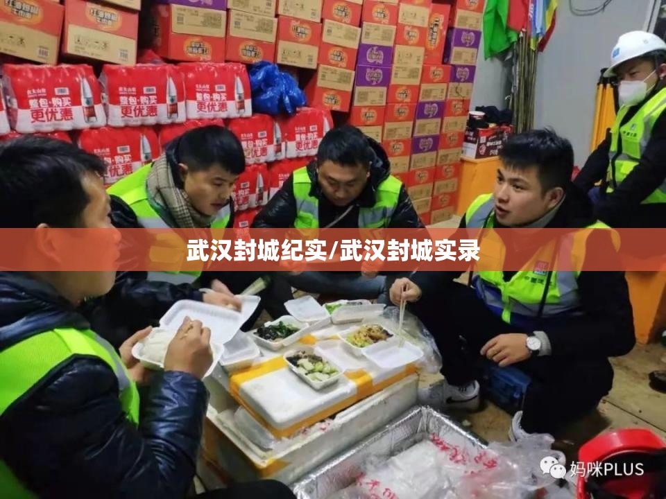 武汉封城纪实/武汉封城实录