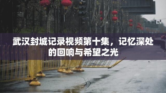 武汉封城记录视频第十集，记忆深处的回响与希望之光