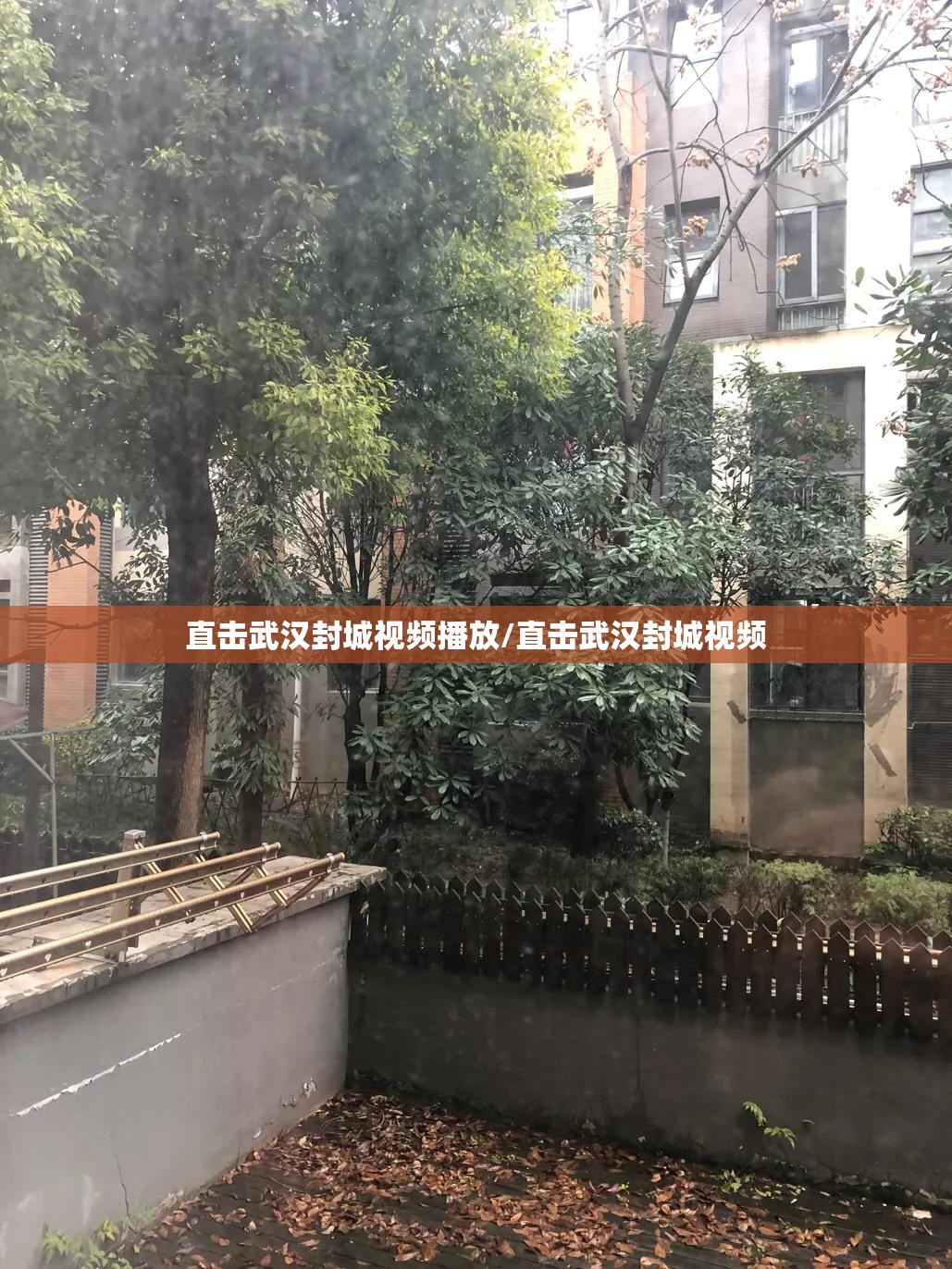 直击武汉封城视频播放/直击武汉封城视频