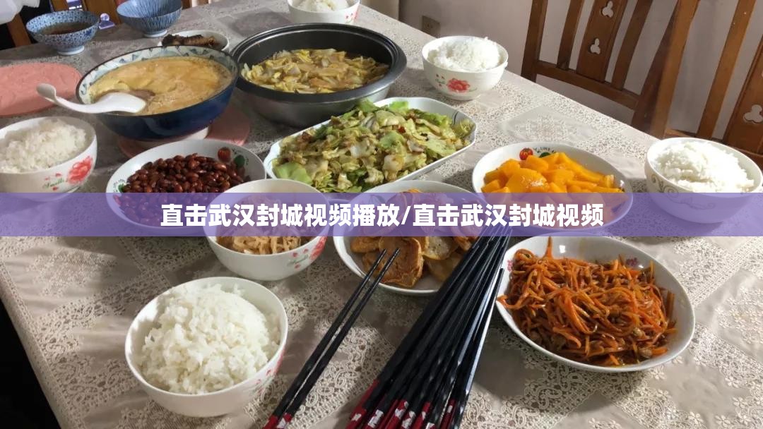 直击武汉封城视频播放/直击武汉封城视频