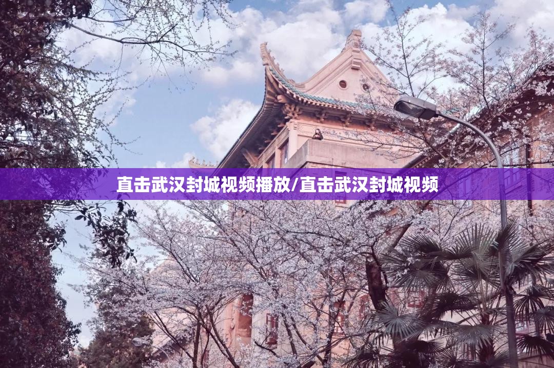 直击武汉封城视频播放/直击武汉封城视频
