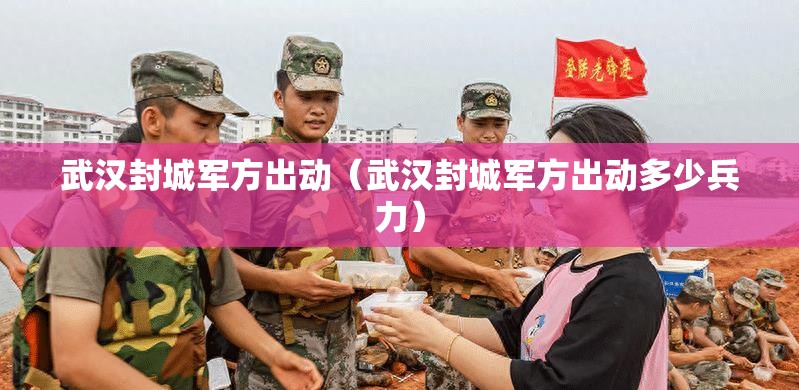 武汉封城军方出动（武汉封城军方出动多少兵力）