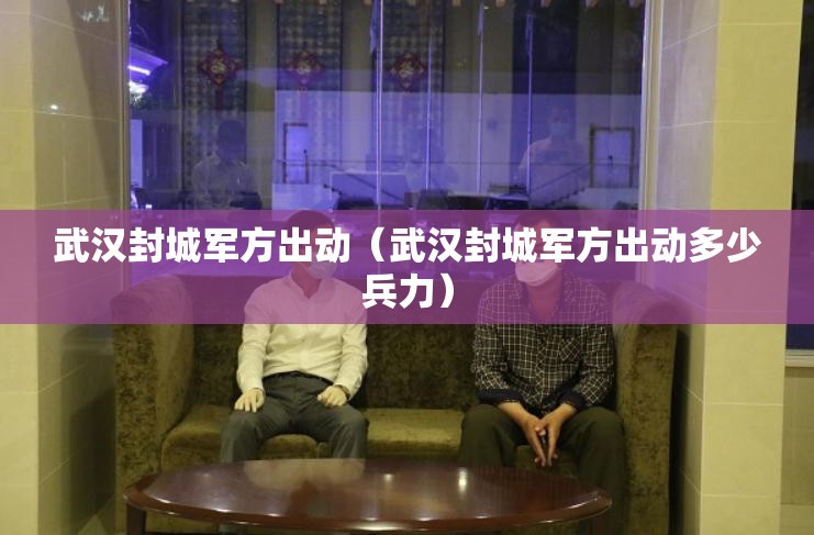 武汉封城军方出动（武汉封城军方出动多少兵力）