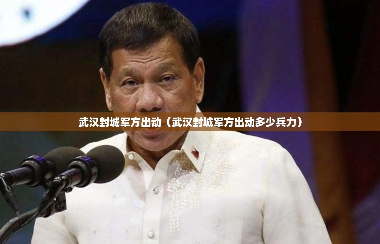 武汉封城军方出动（武汉封城军方出动多少兵力）