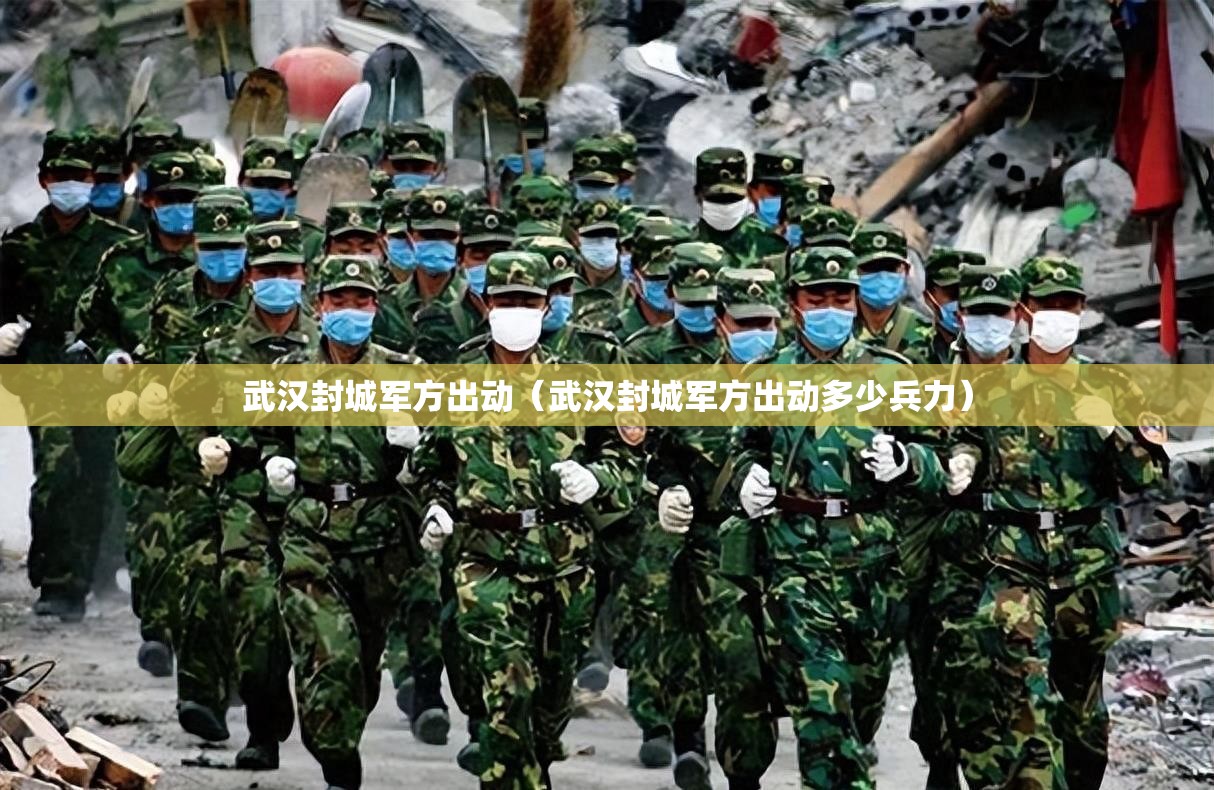 武汉封城军方出动（武汉封城军方出动多少兵力）
