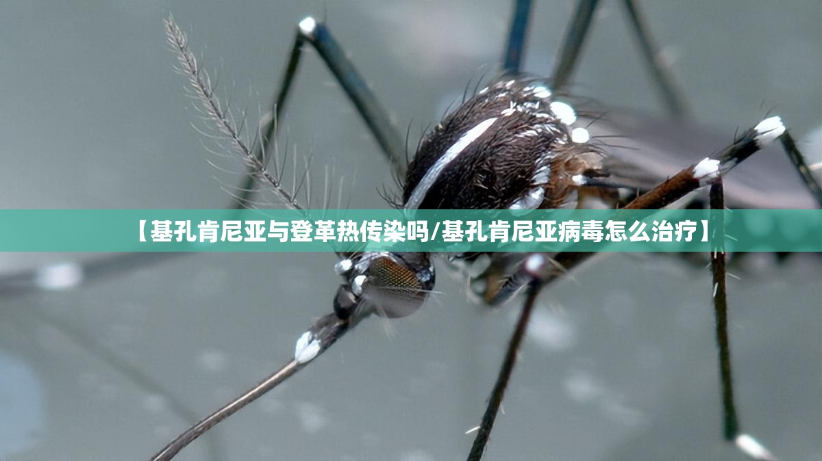 【基孔肯尼亚与登革热传染吗/基孔肯尼亚病毒怎么治疗】