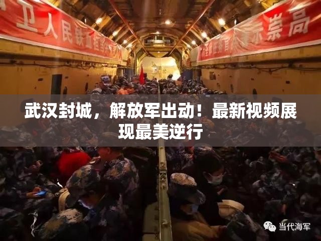 武汉封城，解放军出动！最新视频展现最美逆行