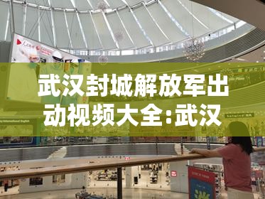 武汉封城解放军出动视频大全:武汉封城解放军出动视频大全播放