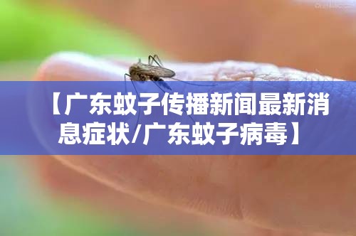 【广东蚊子传播新闻最新消息症状/广东蚊子病毒】