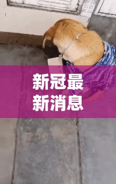 新冠最新消息新动态/新冠最新消息实时发布