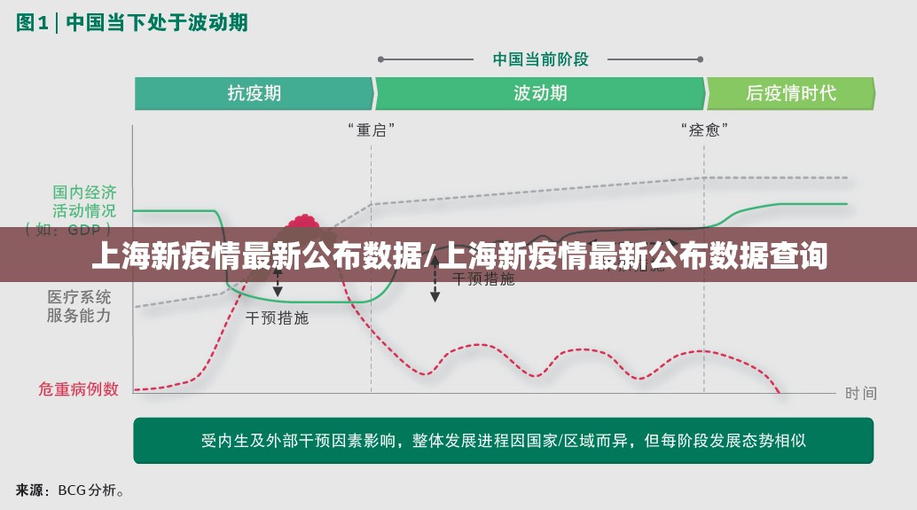 上海新疫情最新公布数据/上海新疫情最新公布数据查询