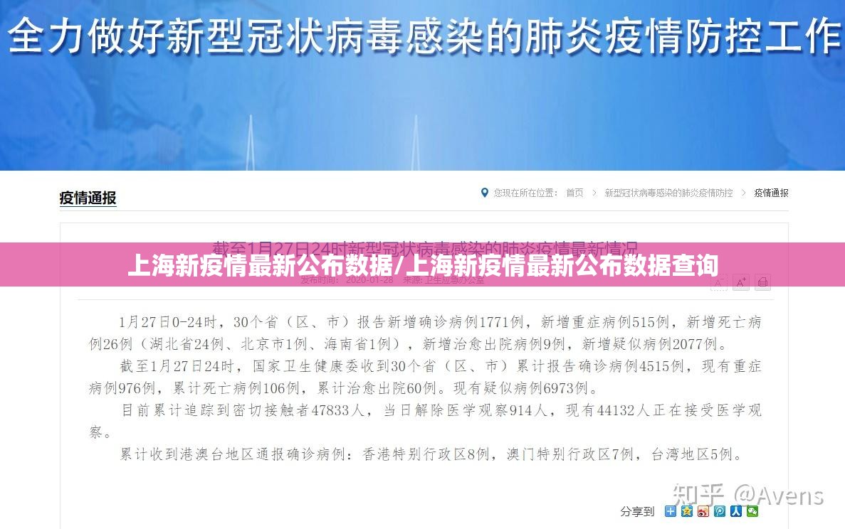 上海新疫情最新公布数据/上海新疫情最新公布数据查询