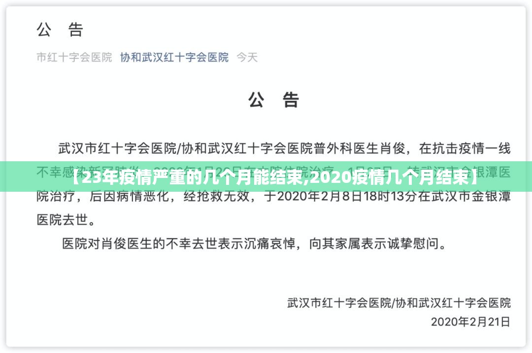 【23年疫情严重的几个月能结束,2020疫情几个月结束】