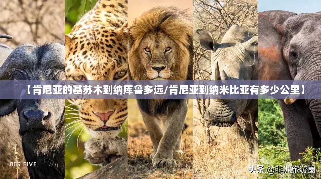 【肯尼亚的基苏木到纳库鲁多远/肯尼亚到纳米比亚有多少公里】