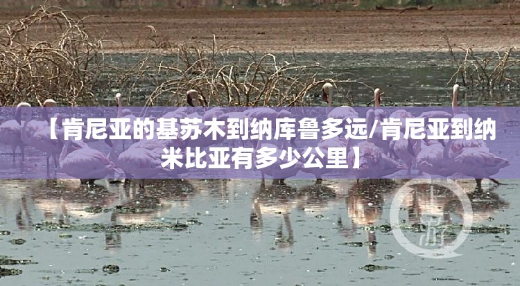 【肯尼亚的基苏木到纳库鲁多远/肯尼亚到纳米比亚有多少公里】
