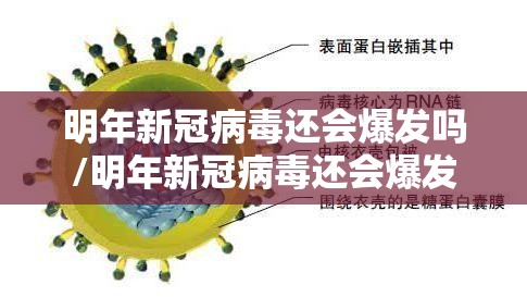 明年新冠病毒还会爆发吗/明年新冠病毒还会爆发吗知乎