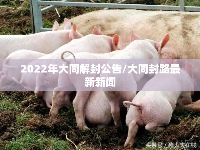 2022年大同解封公告/大同封路最新新闻