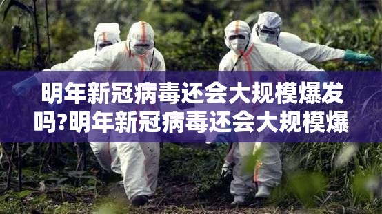 明年新冠病毒还会大规模爆发吗?明年新冠病毒还会大规模爆发吗知乎