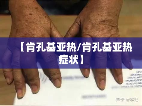 【肯孔基亚热/肯孔基亚热症状】