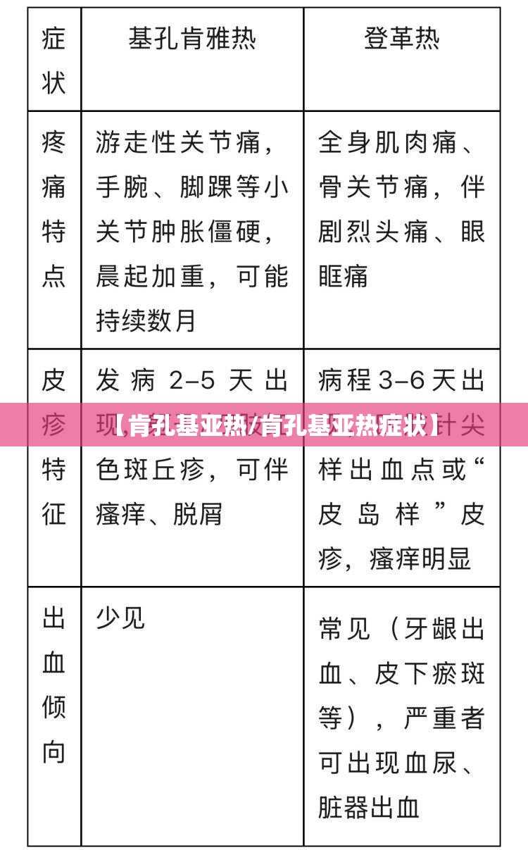 【肯孔基亚热/肯孔基亚热症状】