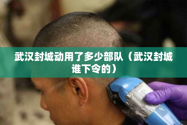 武汉封城动用了多少部队（武汉封城谁下令的）