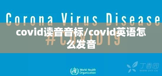 covid读音音标/covid英语怎么发音