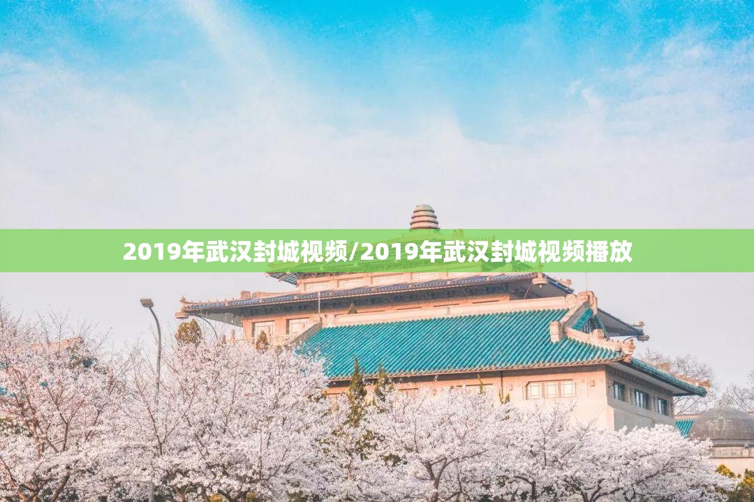 2019年武汉封城视频/2019年武汉封城视频播放