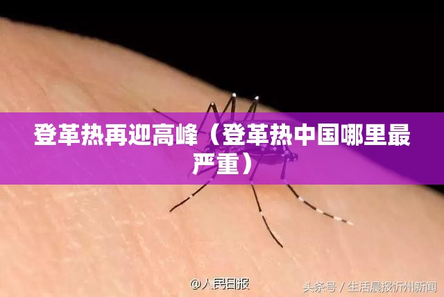 登革热再迎高峰（登革热中国哪里最严重）