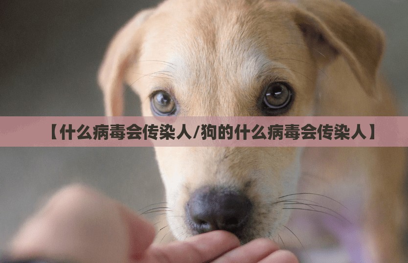 【什么病毒会传染人/狗的什么病毒会传染人】