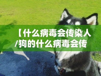 【什么病毒会传染人/狗的什么病毒会传染人】
