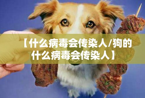 【什么病毒会传染人/狗的什么病毒会传染人】